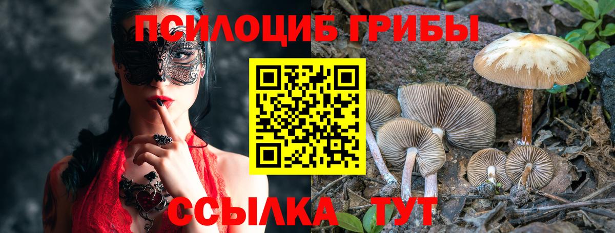 Галлюциногенные грибы Cubensis  Вход с VPN  Чайковский 