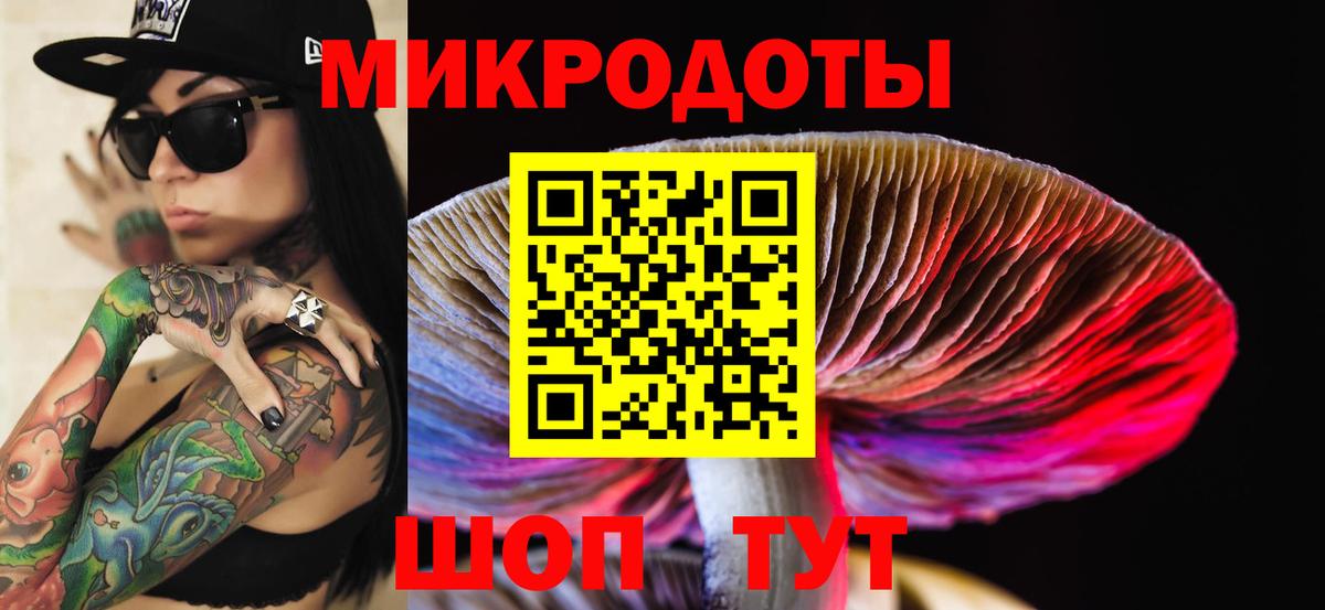 Галлюциногенные грибы прущие грибы Чайковский